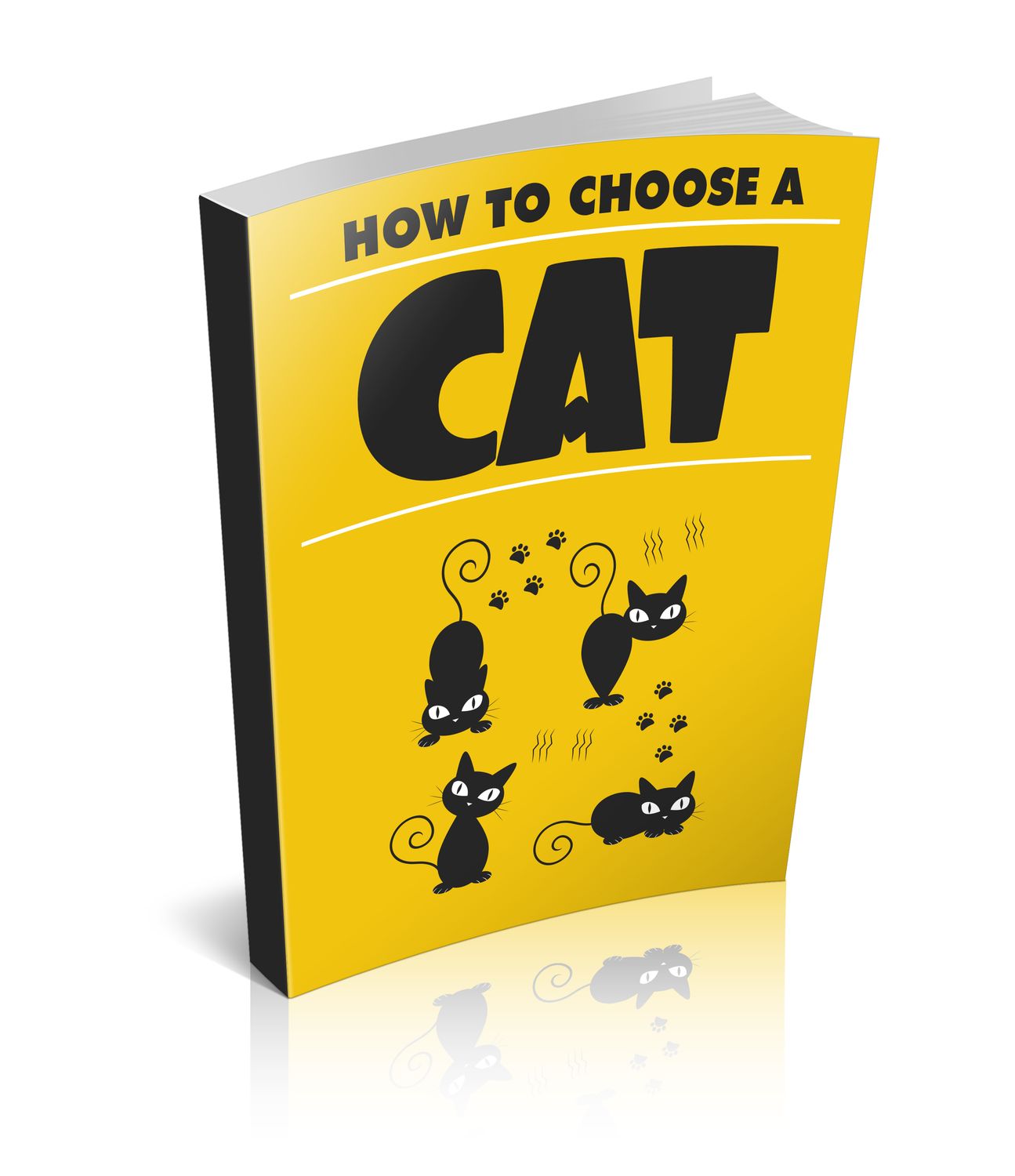 How to Choose a Cat: Beginner’s Guide to Costs, Health &amp; Lifestyle Fit