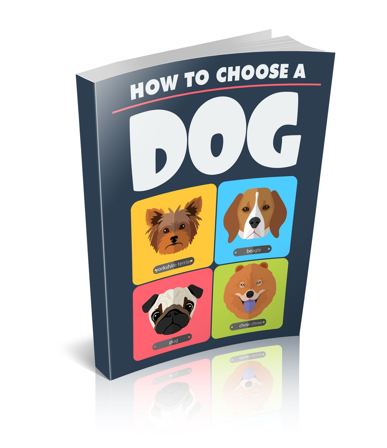 How to Choose a Dog: Beginner’s Guide to Lifestyle, Care &amp; Readiness