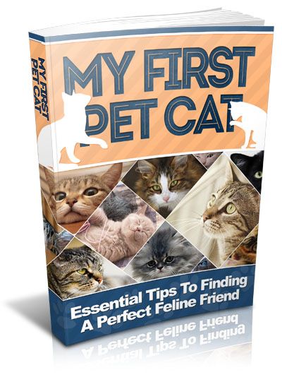 My First Pet Cat: Beginner’s Guide to Adoption, Care &amp; Home Preparation