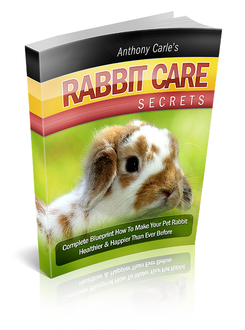 Rabbit Care Secrets: Beginner’s Guide to Rabbit Care, Feeding, Training &amp; Bunny Basics