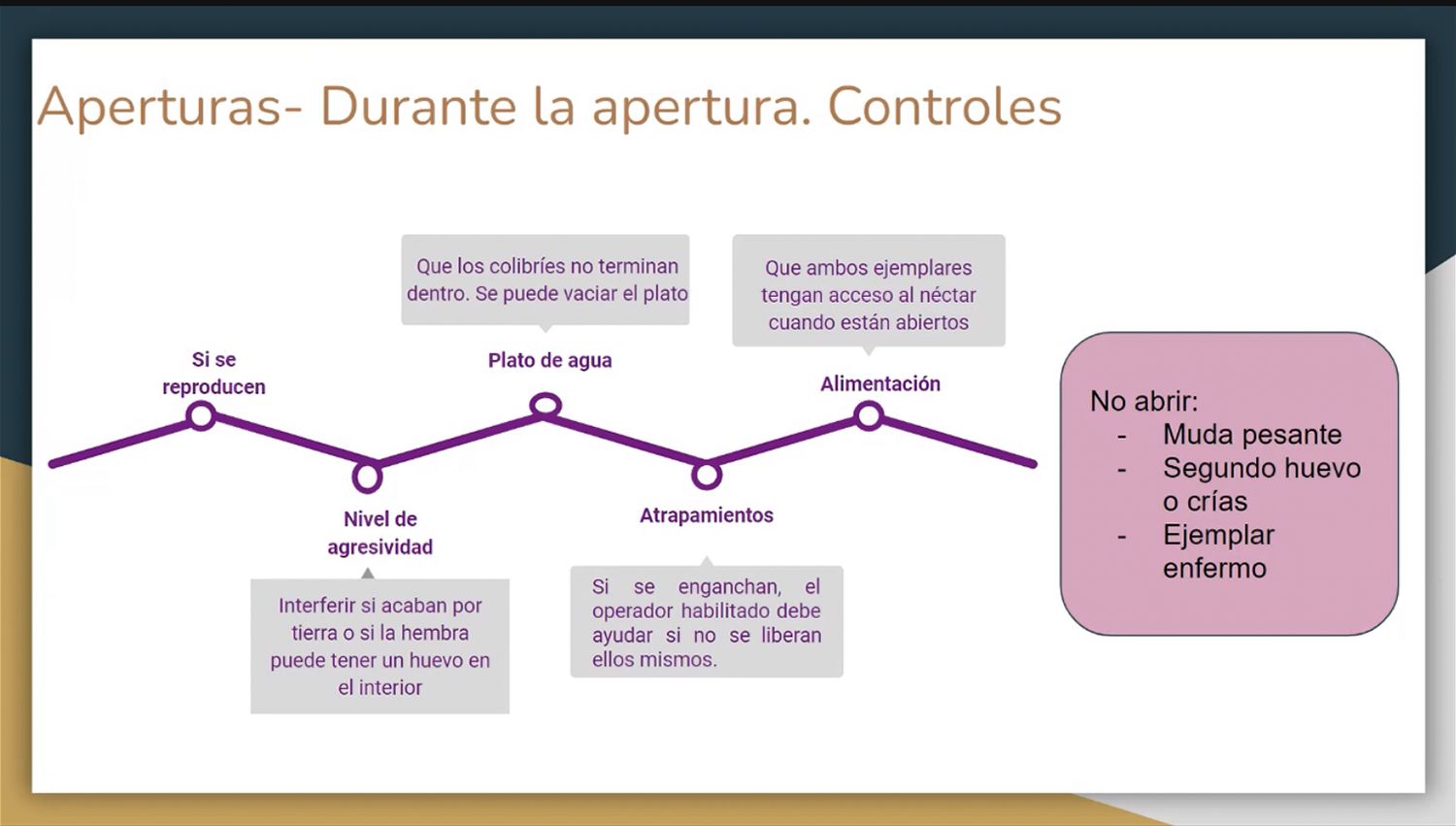 AVEFLIGHT Digital License — Centro Colibrí Masterclass: Hummingbird Reproduction, Nesting and Restocking Methods - 8