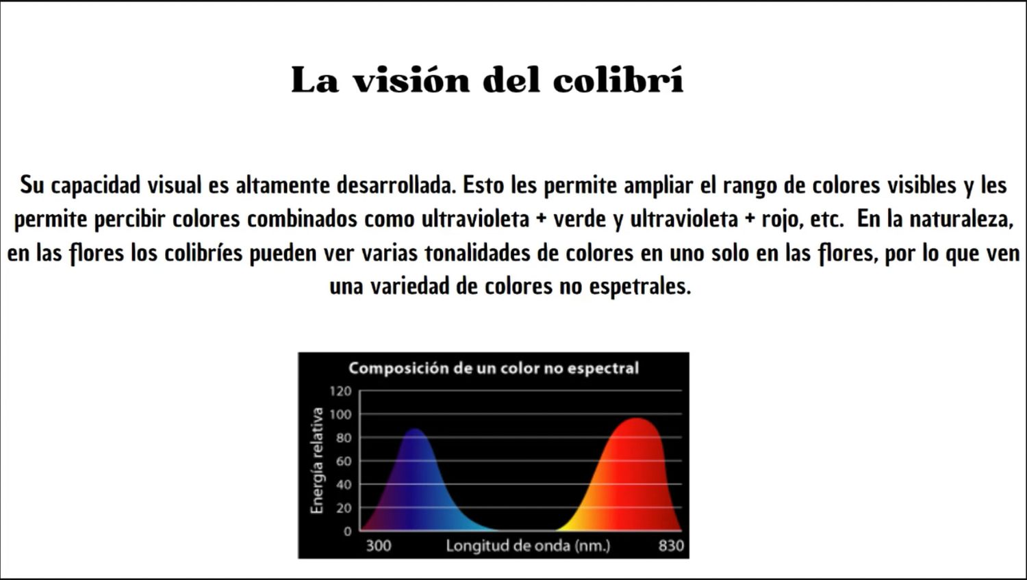 AVEFLIGHT Digital License — Centro Colibrí Masterclass: Hummingbirds, Flowering Plants, Greenhouse and Aviary Environments - 11