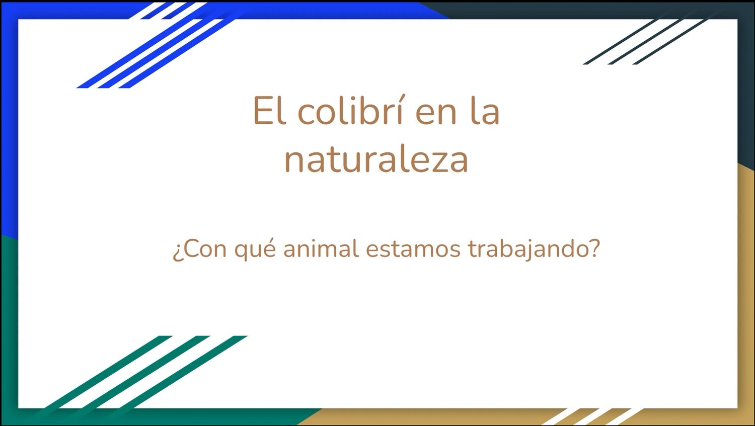 AVEFLIGHT Digital License — Centro Colibrí Masterclass: Introduction to Hummingbirds and Ex Situ Management for Species Protection - 1