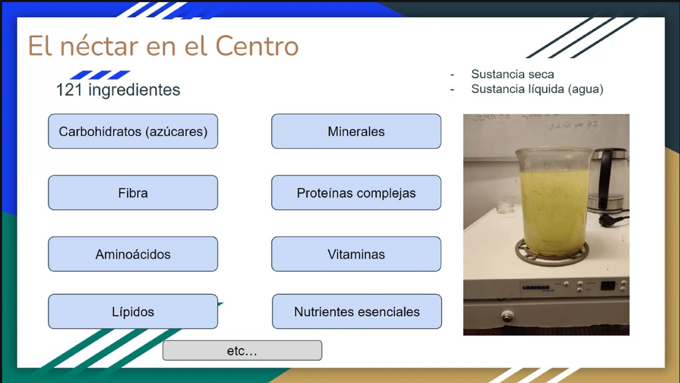 AVEFLIGHT Digital License — Centro Colibrí Masterclass: Nectar Composition and Hummingbird Nutritional Needs - 6