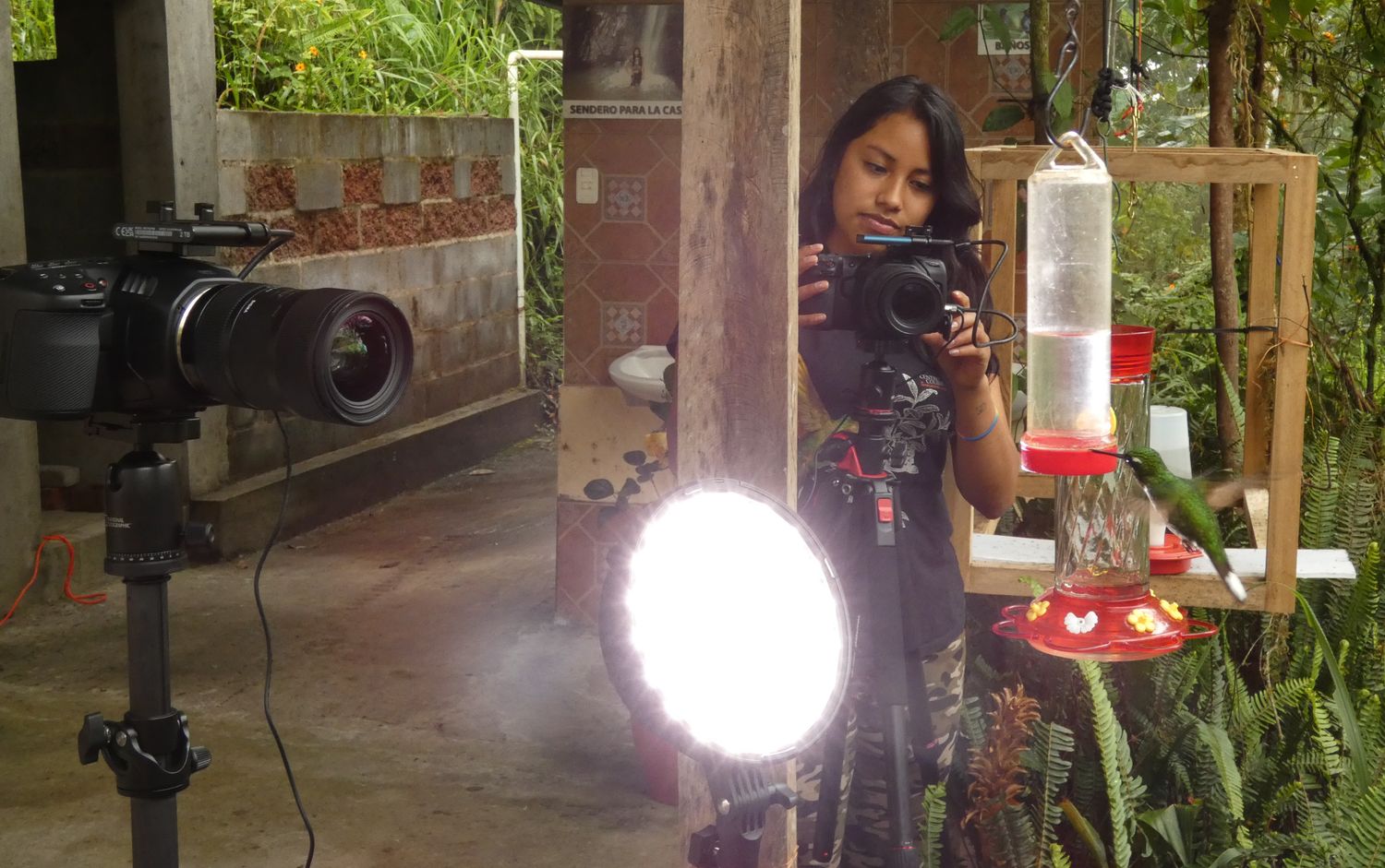 AVEFLIGHT Digital License — Digital Postcards of Creative and Immersive Locations in Quito and Nanegalito
