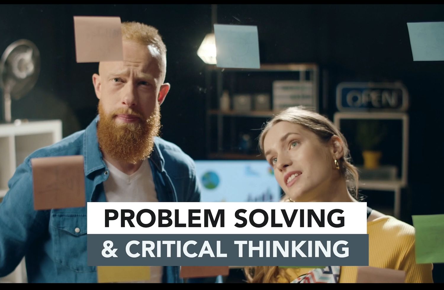 AVEFLIGHT Digital License — Masterclass: Professional Reasoning and Problem Solving: 11 Modules, 93-Video Lessons