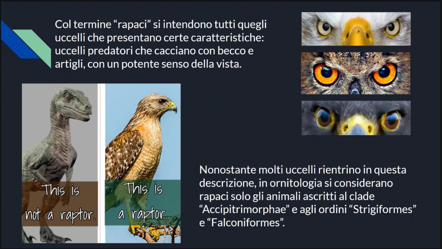 AVEFLIGHT Digital License — Birds of Prey: Care, Feeding, Breeding, Physiology, and Animal Welfare - 14