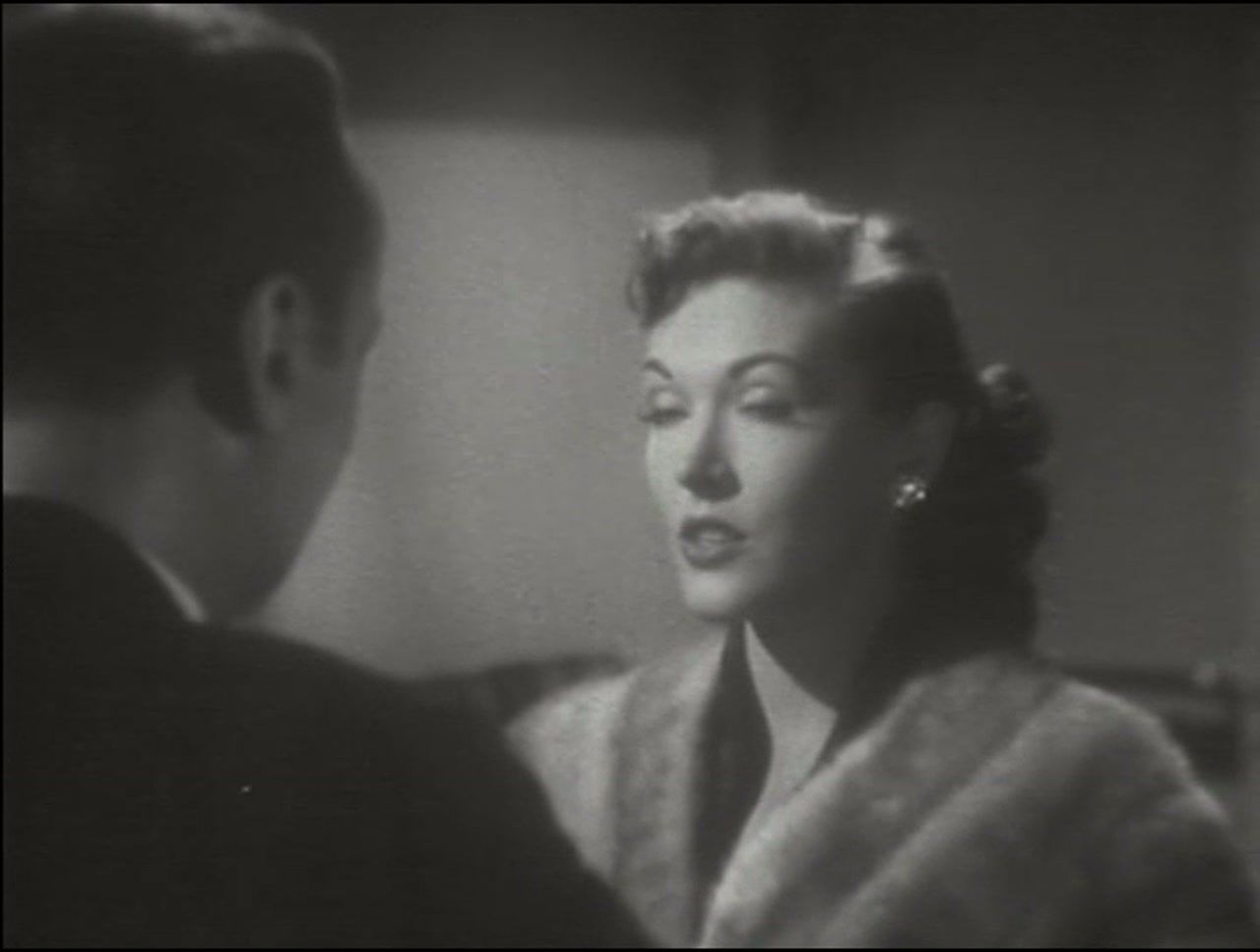 AVEFLIGHT Digital License — Four Star — Doctor and Countess