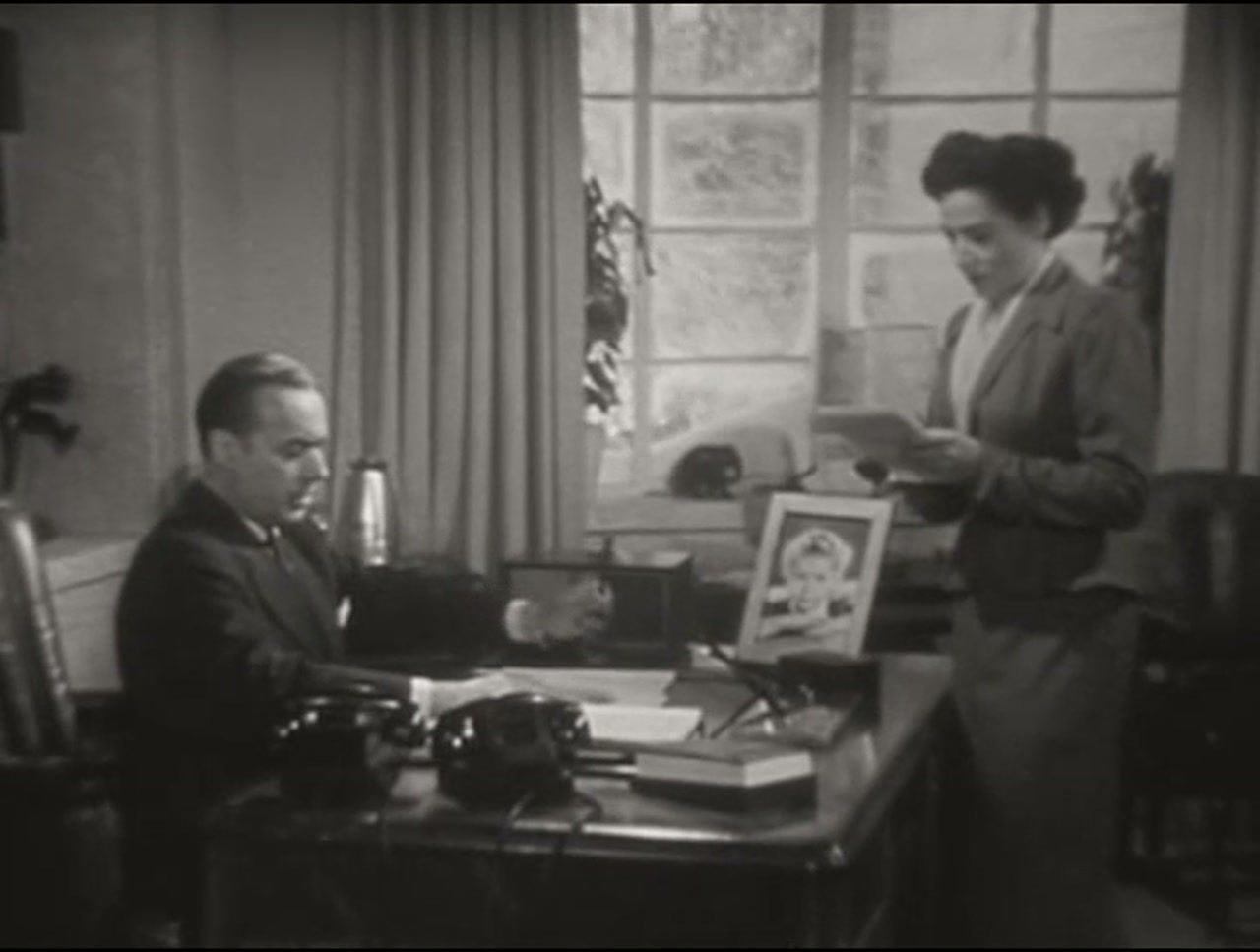 AVEFLIGHT Digital License — Four Star — Man in the Cellar
