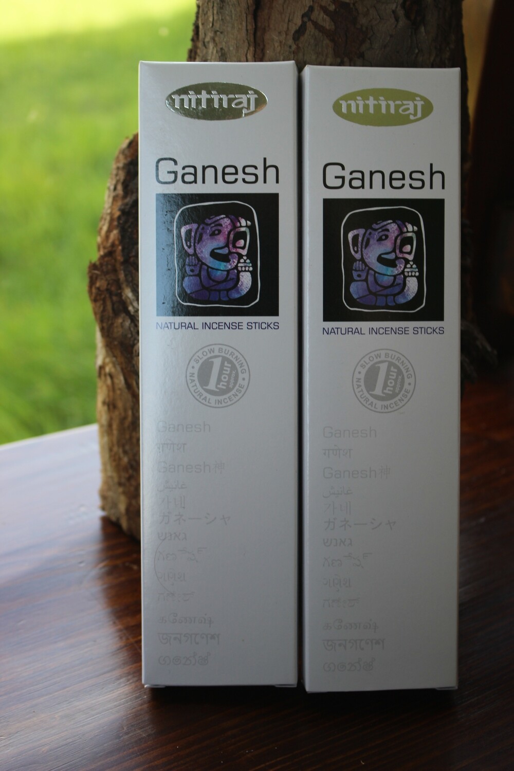 Nitiraj Ganesh
