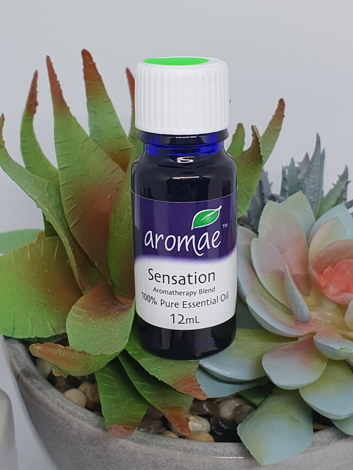 Sensation Essential Oil
