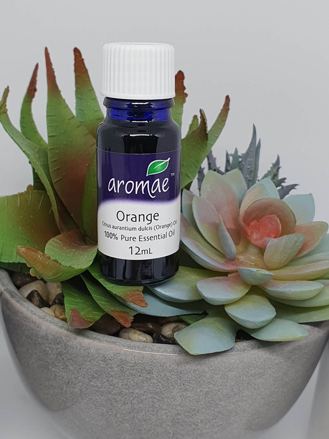 Orange Essential Oil
