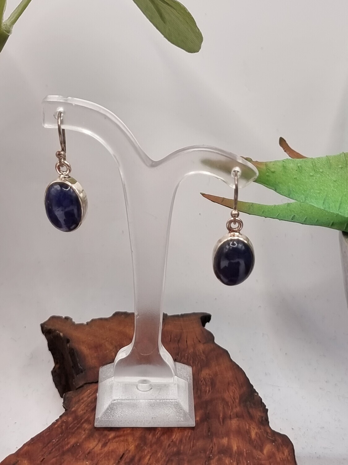 Tanzanite Earrings