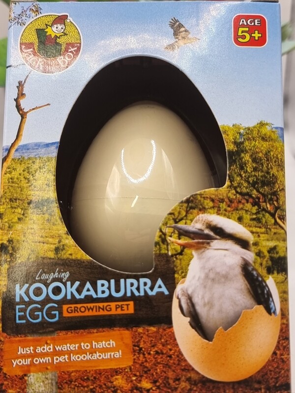 Growing Kookaburra Egg