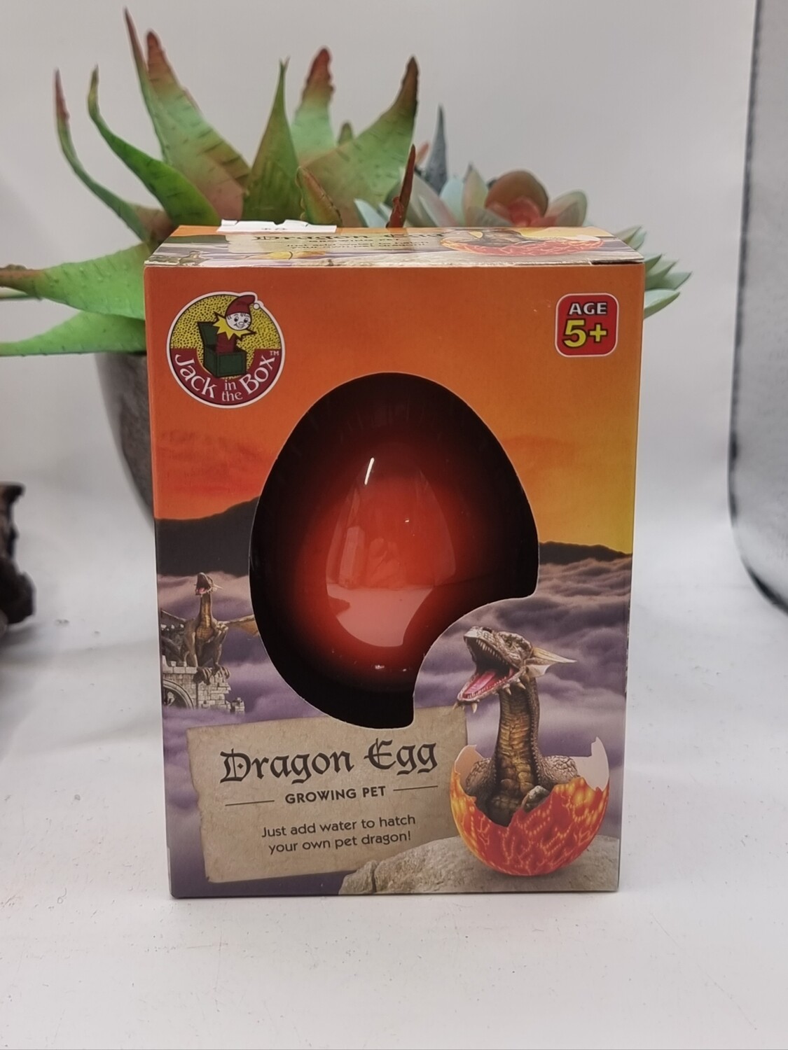 Growing Dragon Egg