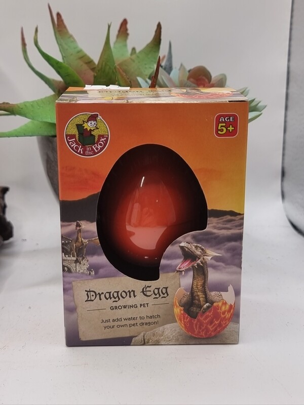 Growing Dragon Egg