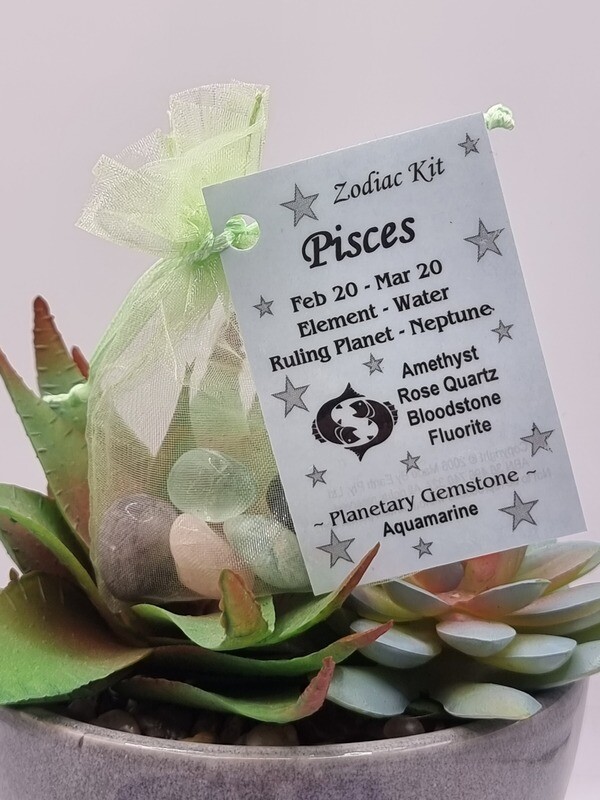 Pisces Zodiac Kit
