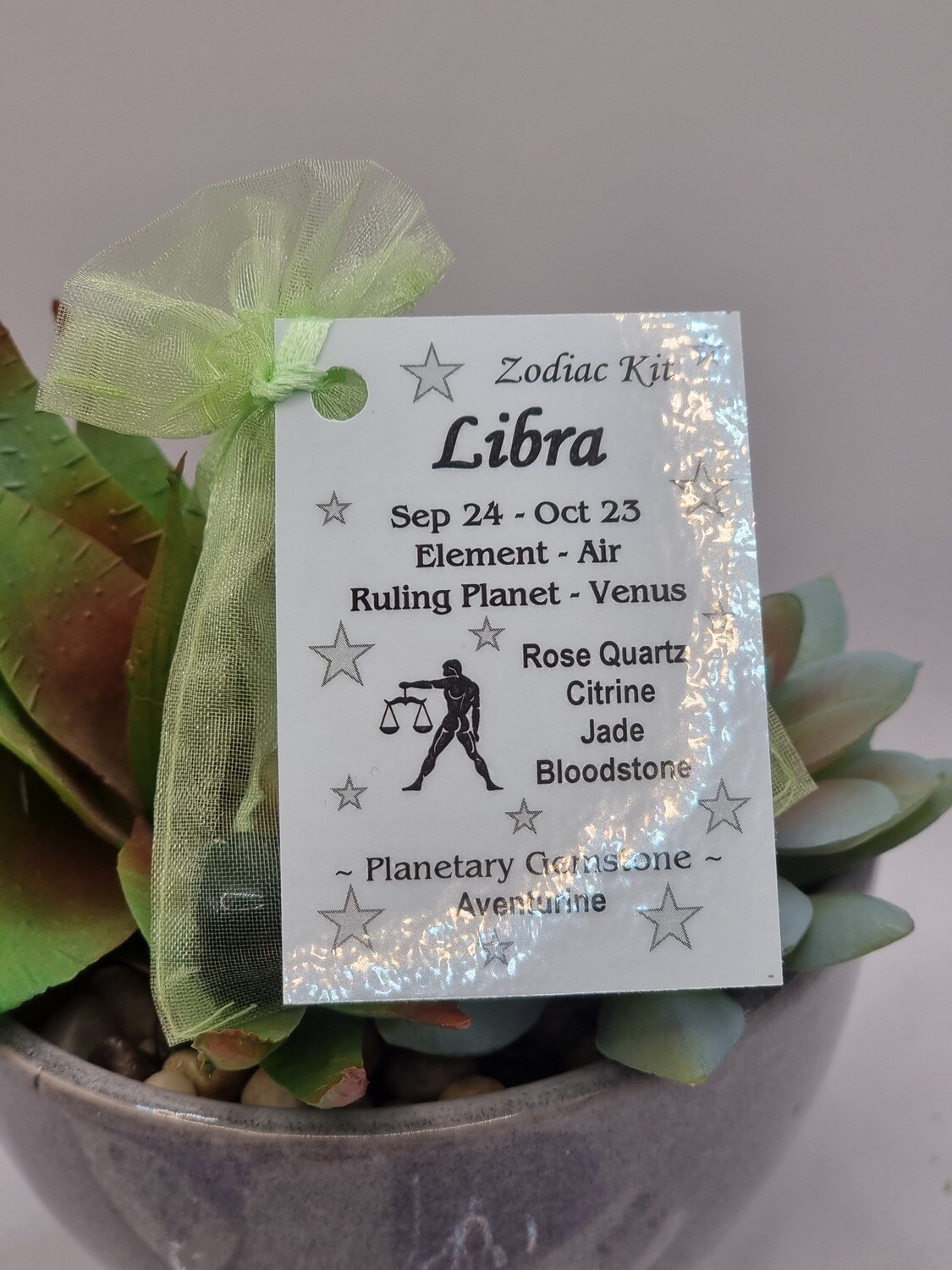 Libra Zodiac Kit