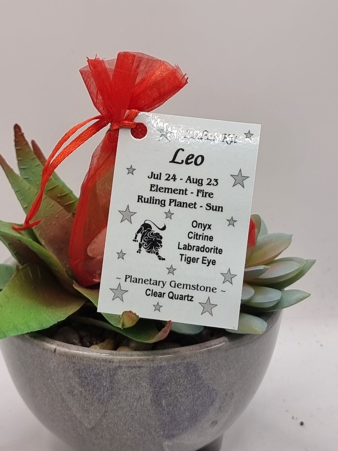 Leo Zodiac Kit