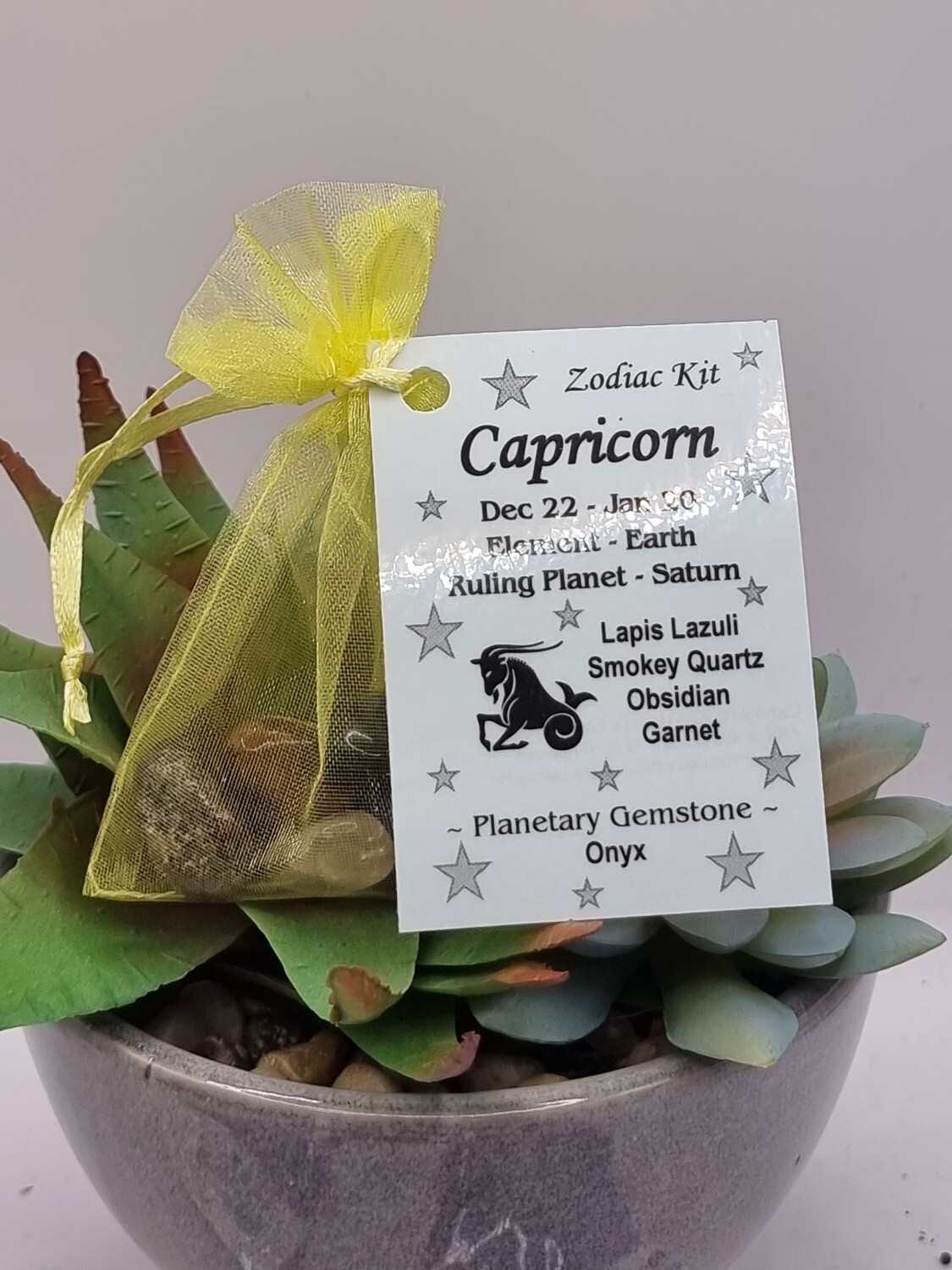 Capricorn Zodiac Kit