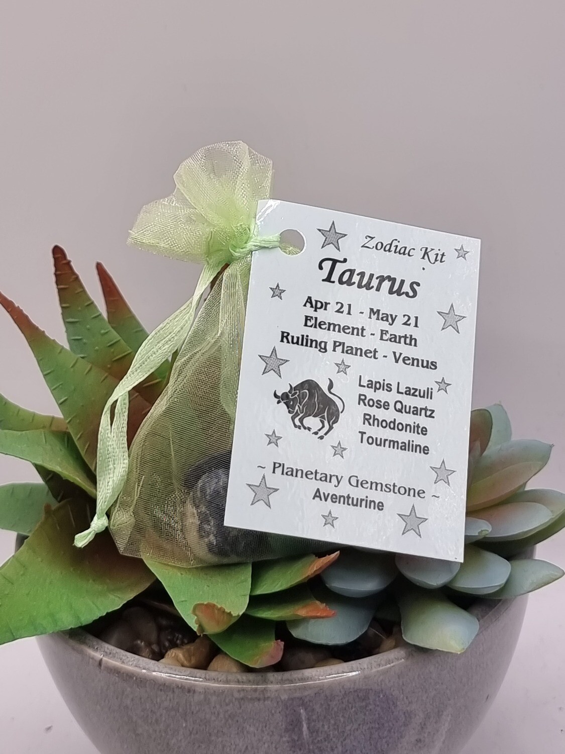Taurus Zodiac Kit