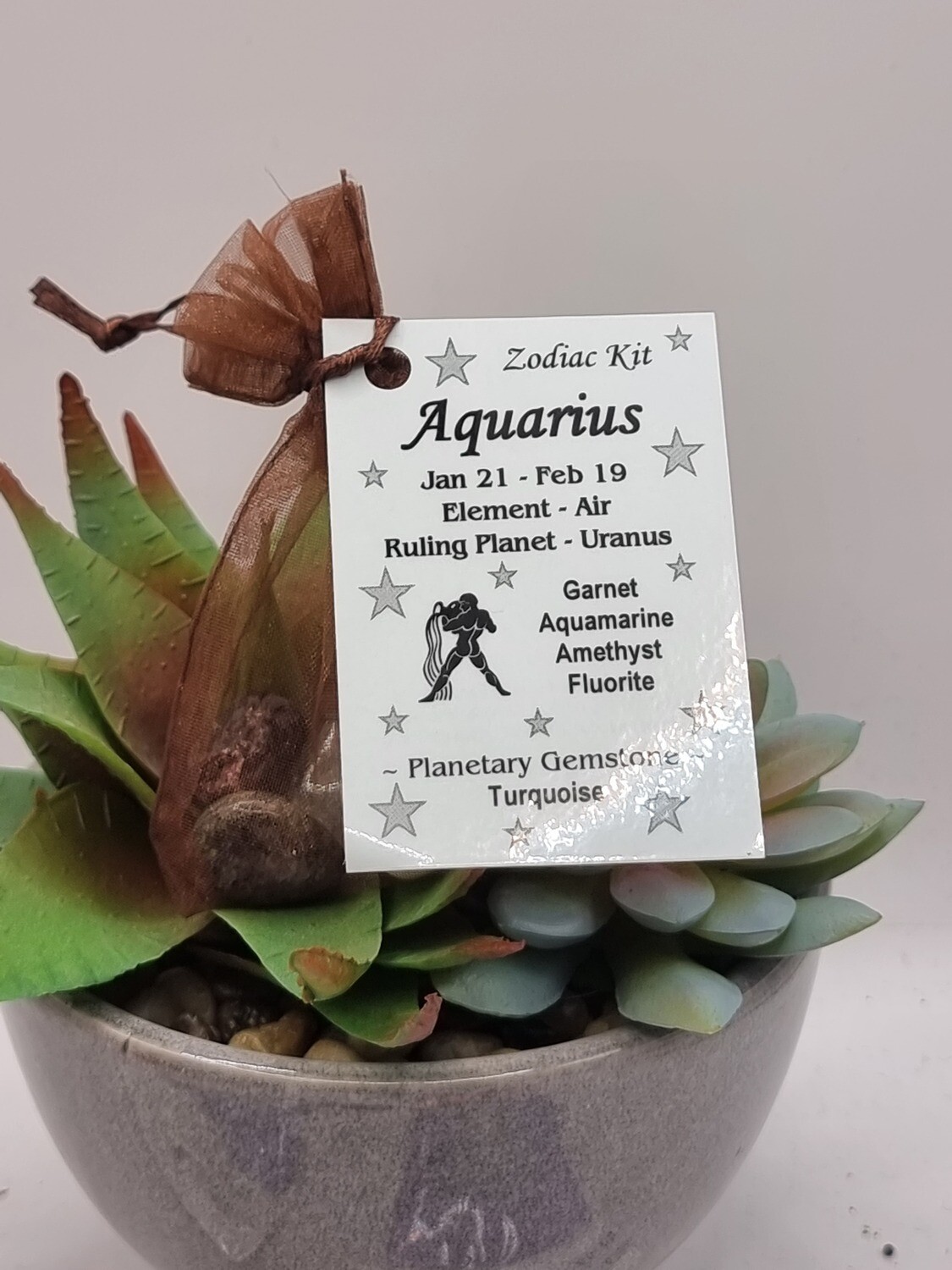 Aquarius Zodiac Kit