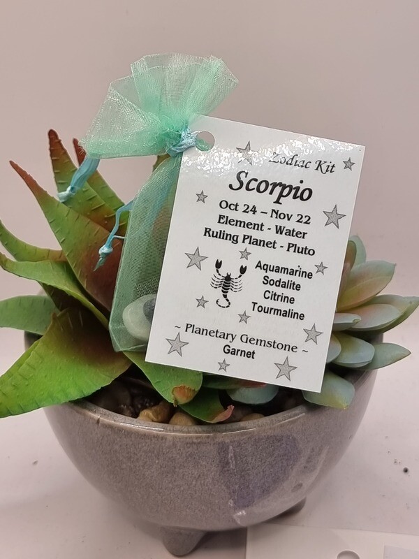 Scorpio Zodiac Kit