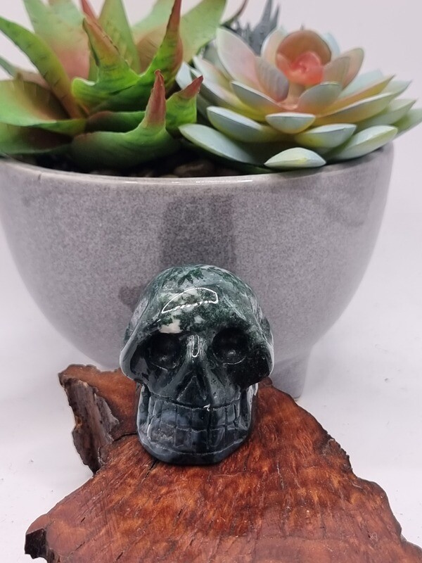 Moss Agate Skull