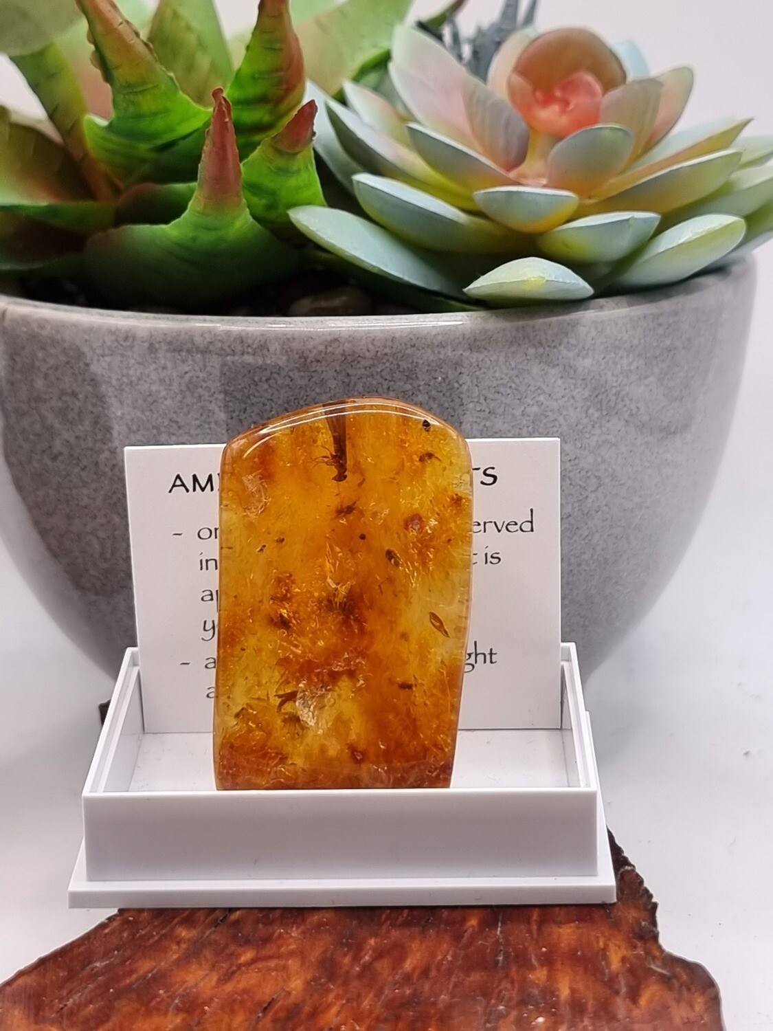 Amber with Insect Specimen