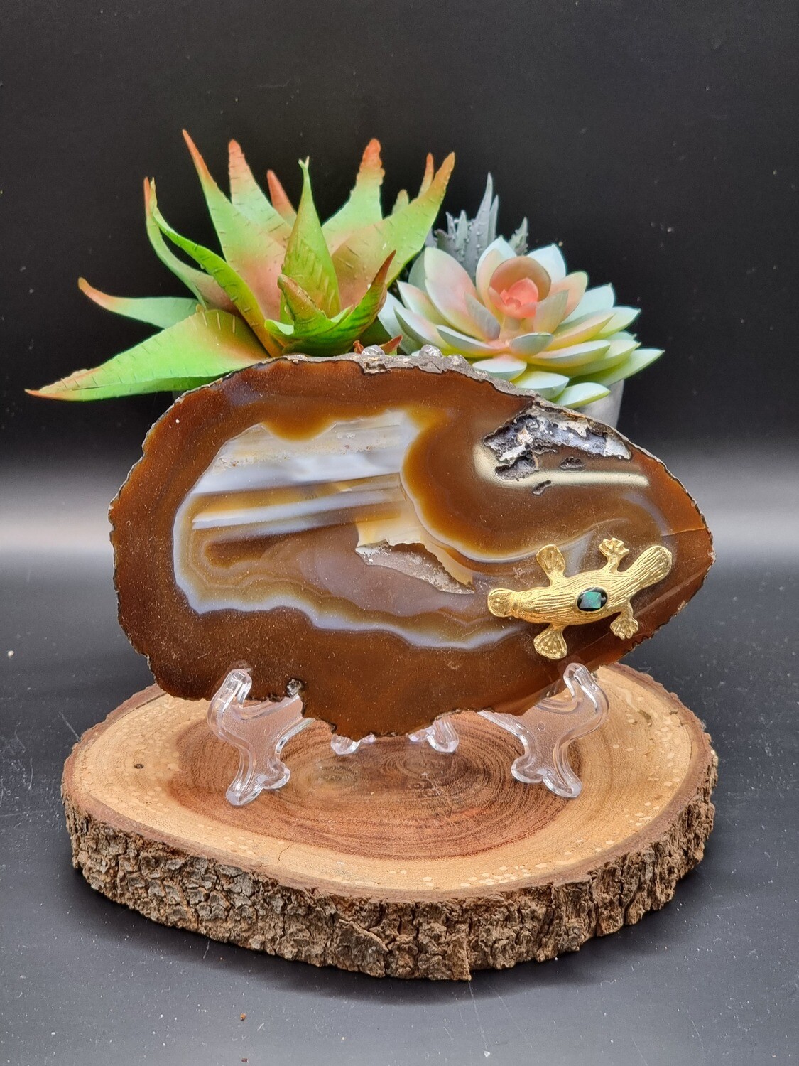 Agate Slice with Platypus