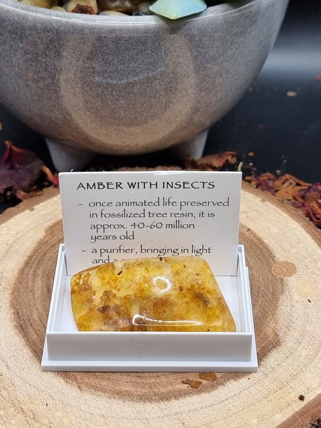 Amber with Insect