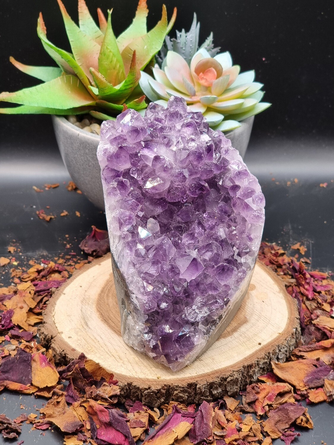 Amethyst Cluster