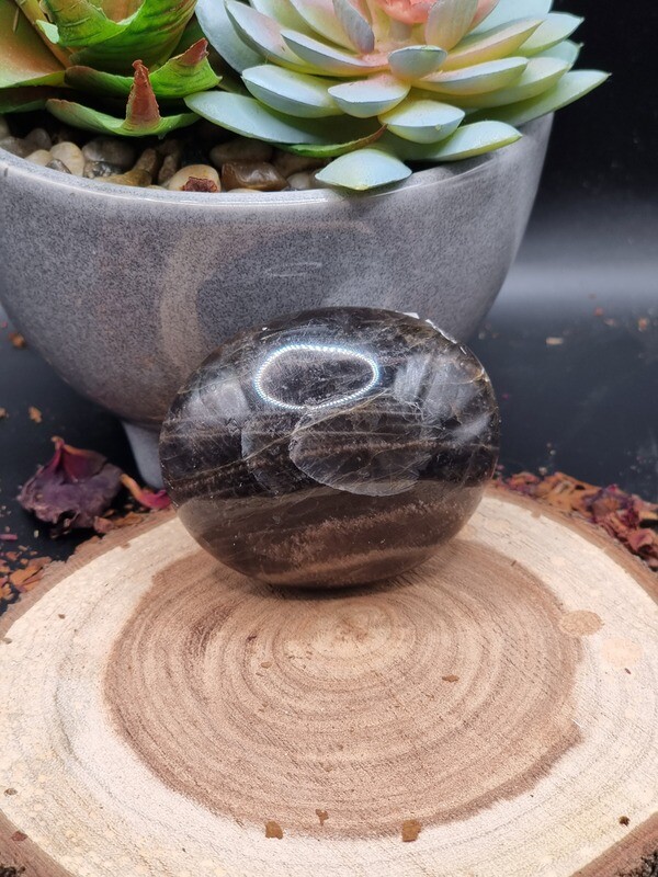 Black Moonstone Palmstone