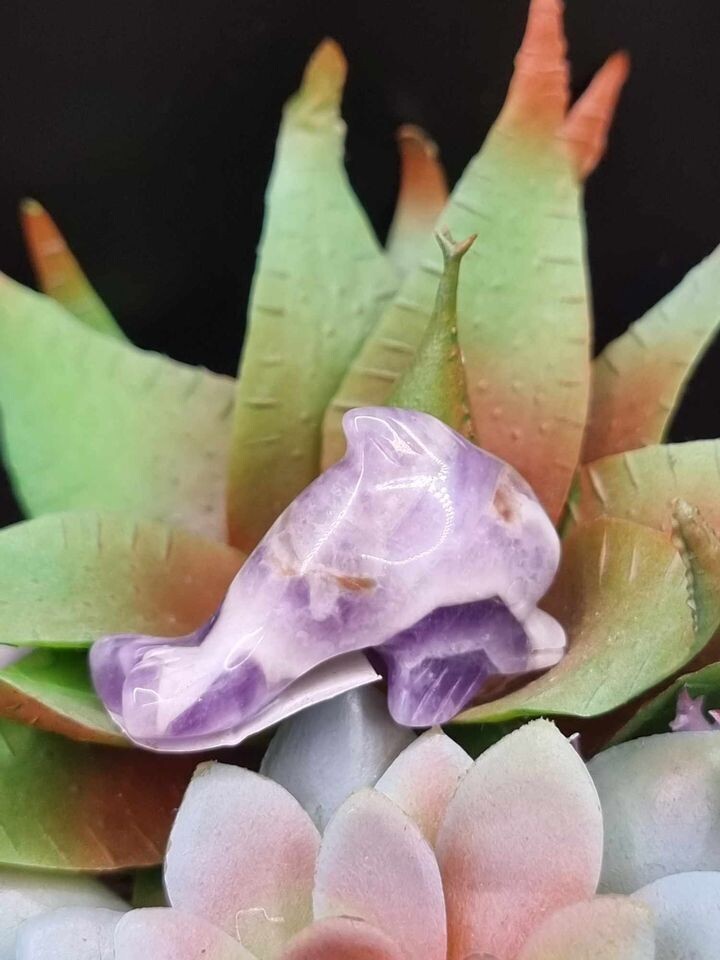 Chevron Amethyst Dolphin