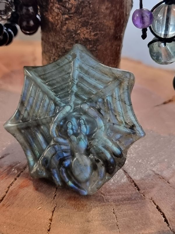 Labradorite Spider on web