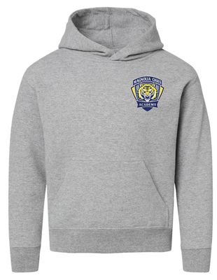 MOA Youth Embroidered Shield Hoodie