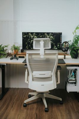 Ergonomic Chairs