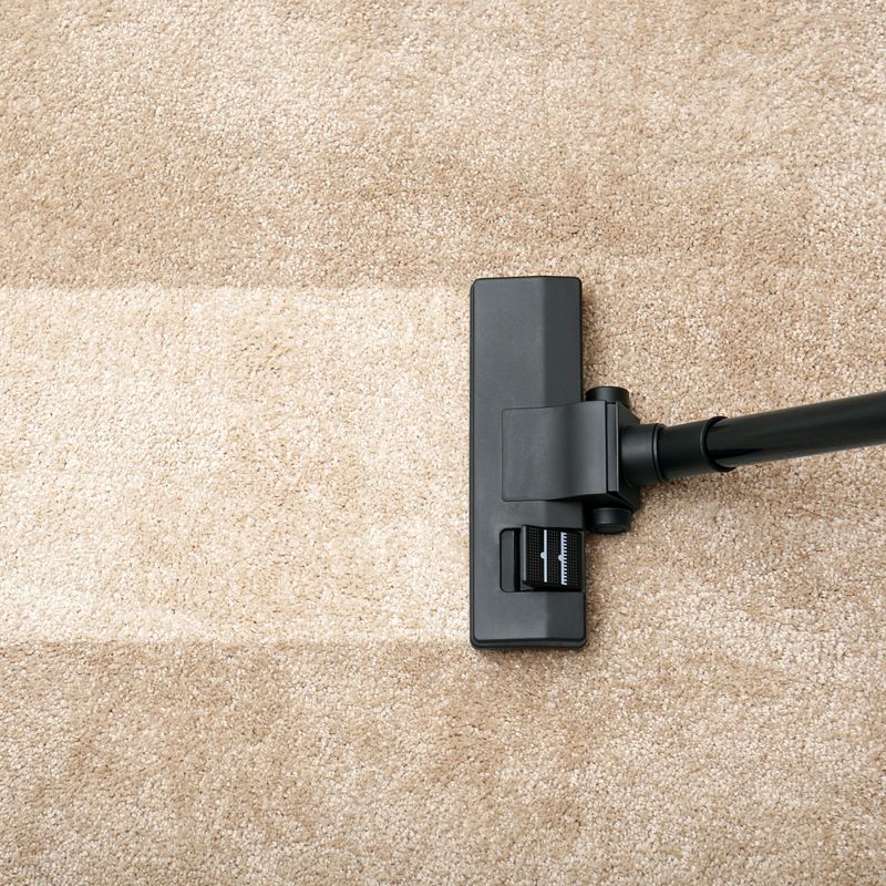 Floor & Carpet Care