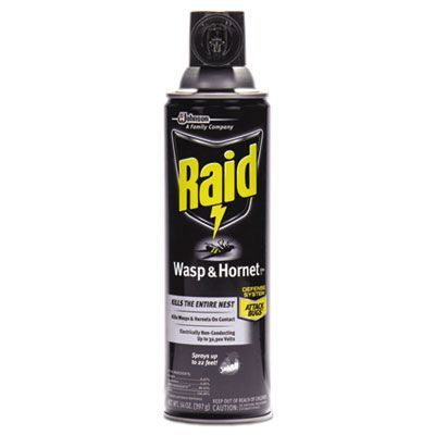 Raid® Wasp and Hornet Killer, 14 oz Aerosol Spray Raid® Wasp and Hornet Killer, 14 oz Aerosol Spray