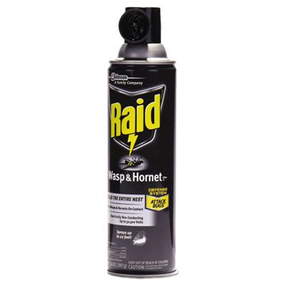 Raid® Wasp and Hornet Killer, 14 oz Aerosol Spray