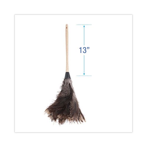 Professional Ostrich Feather Duster, 13