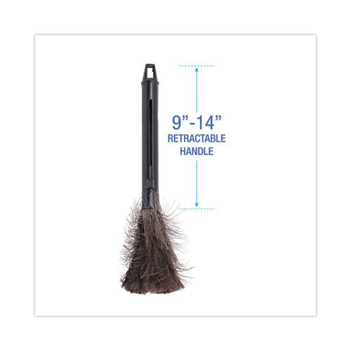 Ostrich Feather Duster, 9