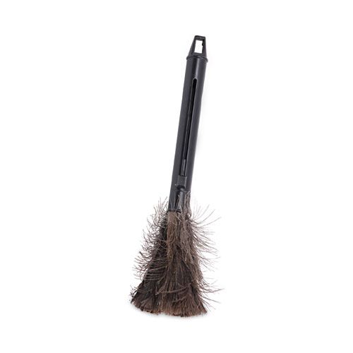Ostrich Feather Duster, 9