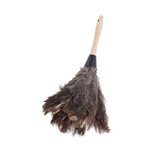 Professional Ostrich Feather Duster, 6 Professional Ostrich Feather Duster, 6" Wood Handle