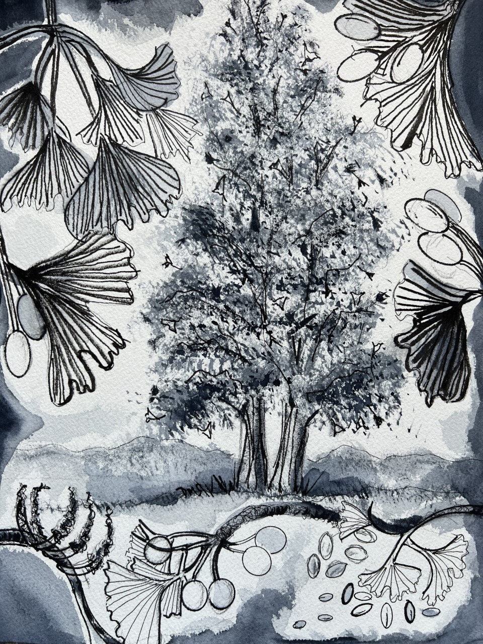 Art, Framed Print - Smiller, Dolores - Charmed by the Gingko Tree