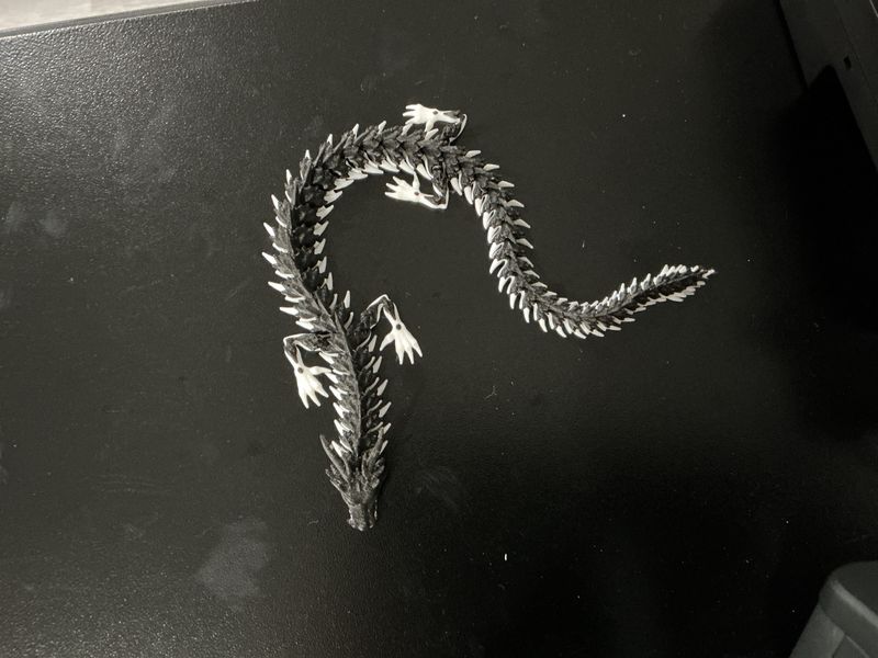 Flexi Dragon