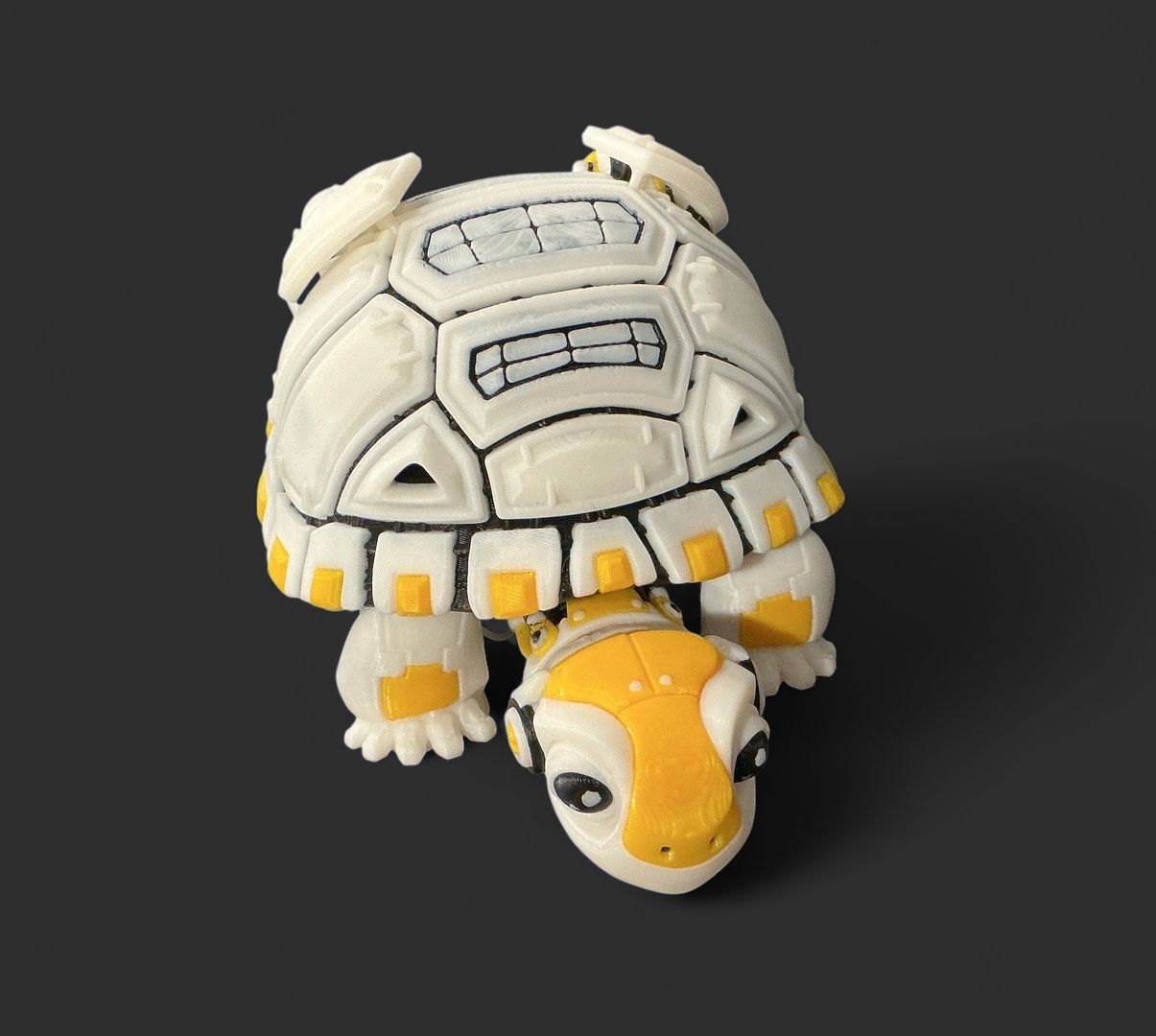Robot Turtle