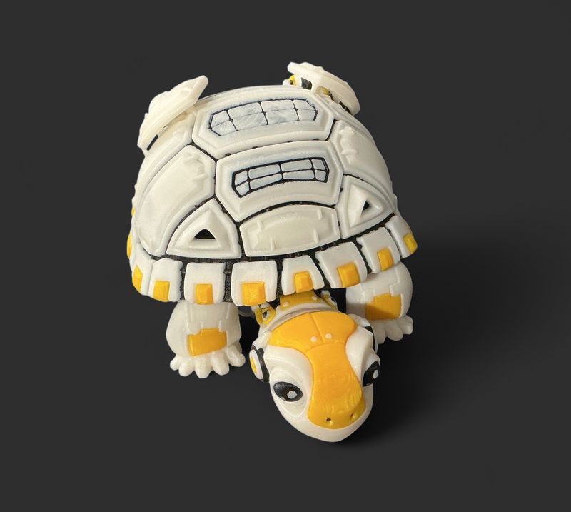 Robot Turtle