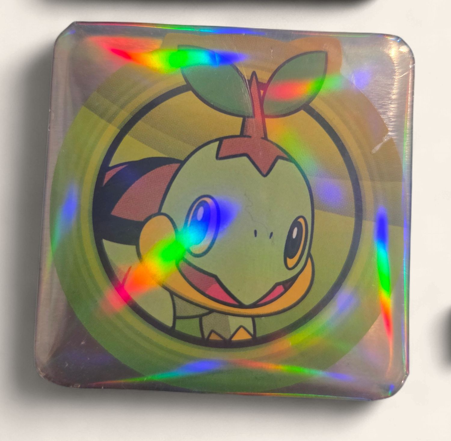 Square Turtwig magnet