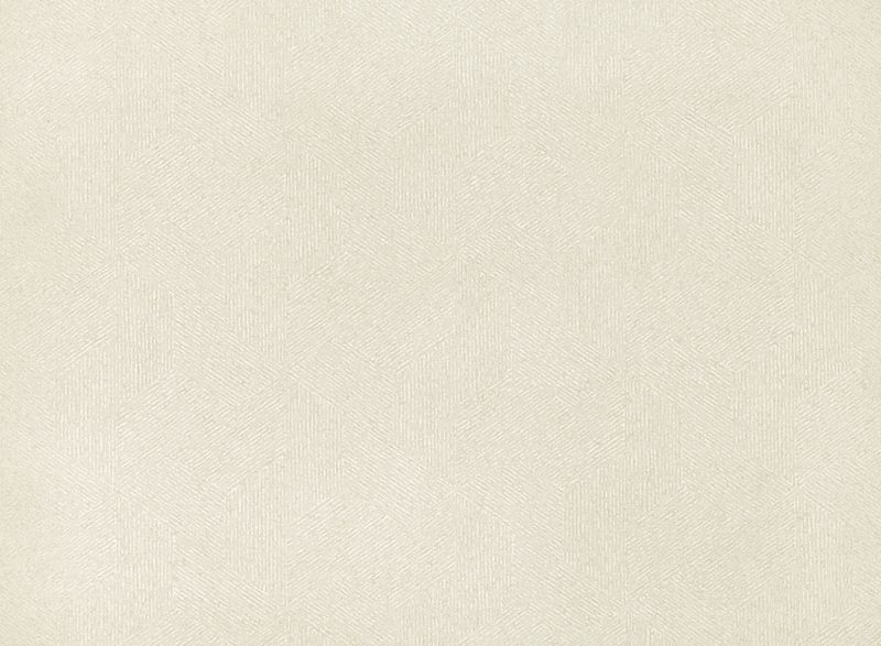 Escher Wallcovering